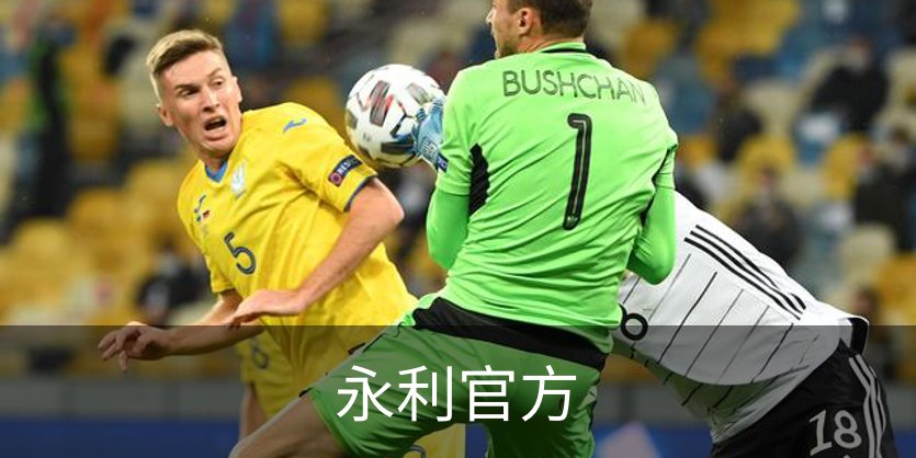 永利官方概况